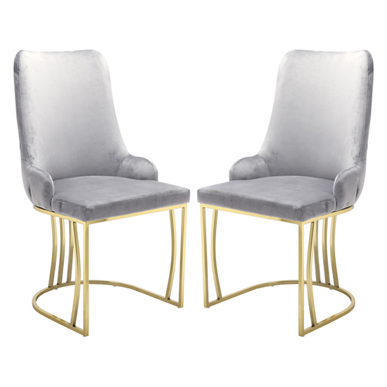 Brixen Grey Plush Velvet Dining Chairs With Gold Frame In Pair